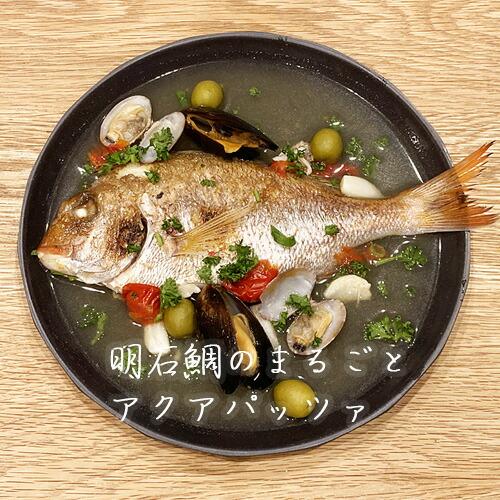 天然 明石鯛 まるごとアクアパッツァ 冷凍グルメ タイ お取り寄せ ギフト プレゼント 産地直送 明...