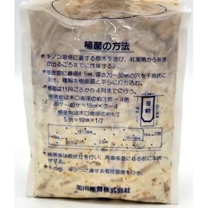 500個入 種駒 しいたけ KM-11号 丸棒...の詳細画像1