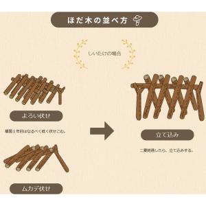 500個入 種駒 しいたけ KM-11号 丸棒...の詳細画像4