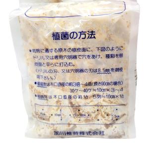 250個入 種駒 しいたけ KM-11号 丸棒...の詳細画像1