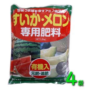 5kg 種芋 男爵 L玉 ジャガイモ じゃがいも栽培用 吉S DZ (登録品種名