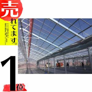 NSスソ用 谷用 シート 厚さ0.15mm 幅75cm 長さ55m ビニールハウス裾