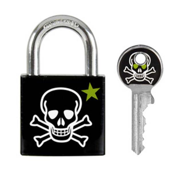 マスターロック 南京錠 シリンダー式 プリントパターン 3430EURDSKULL 南京錠 防犯 M...