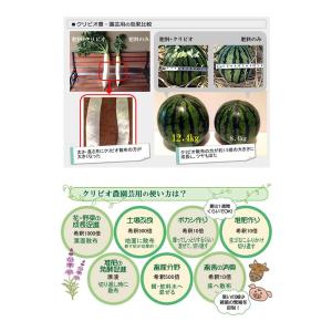 クリビオ 20L 農園芸用 植物活性剤 活力 ...の詳細画像2