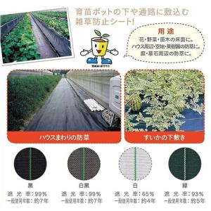 TO 防草シート 標準タイプ 白 2.0×10...の詳細画像1