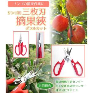 三枚刃摘果鋏 ダブルカット りんご用 No.A...の詳細画像1