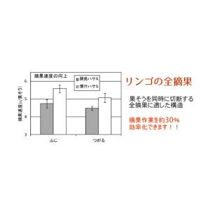 三枚刃摘果鋏 ダブルカット りんご用 No.A...の詳細画像2