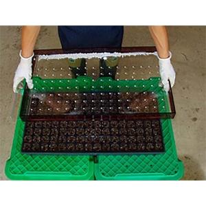 みのる産業 セルトレイ用簡易播種機コート種子専用 G-8 ハンディ