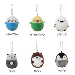 クリスマス用品】Glas & Licht:ガラスのスノードーム クリスマス用品】Glas & Licht:ガラスのスノードーム
