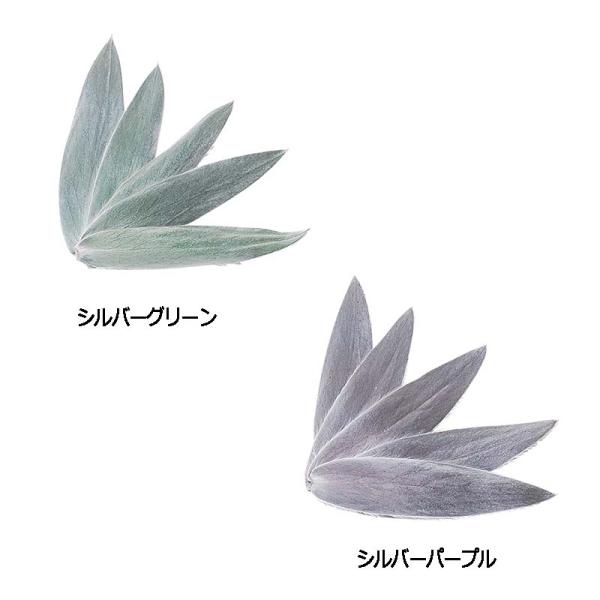 シルバーツリー リーフ 10枚入 シルバーパープル 186-10225-0 プリザーブドフラワー プ...
