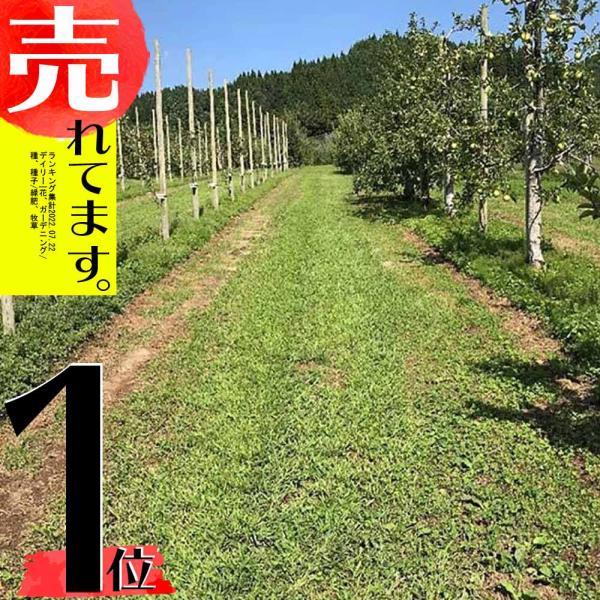 種 1kg フルーツサポーター 果樹下草用 寒地型芝草 秋まき主体 酪農 畜産 緑肥 牧草 タキイ種...