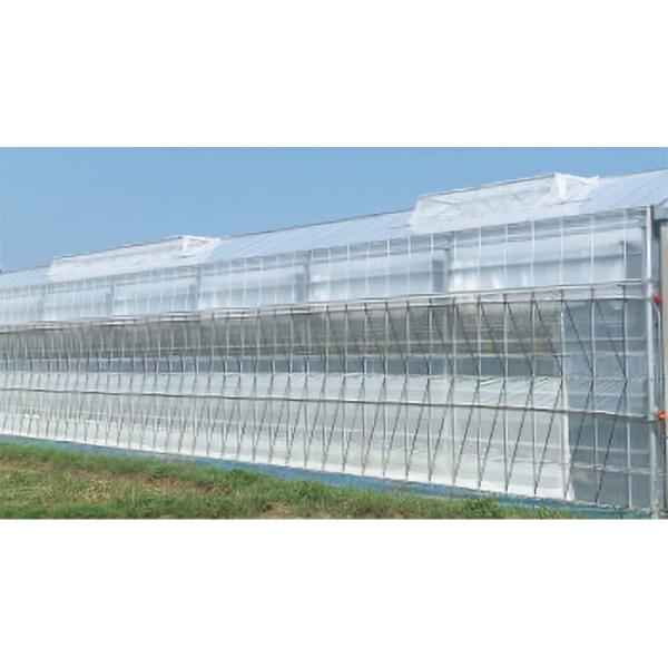 虫フラッとネット 目合0.6mm 2.1×100m 防虫 ネット ビニールハウス 小泉製麻 個人宅配...