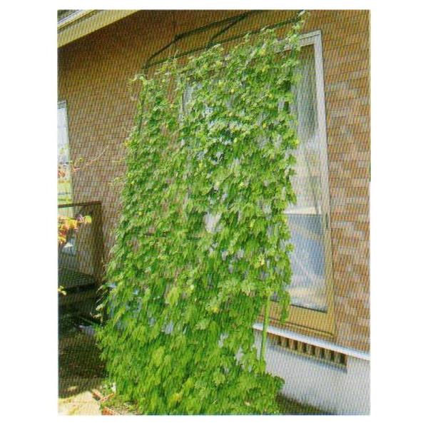 4セット 緑のカーテン アーチde立掛け ワイド1800 伸縮 グリーンカーテン 日除け 日よけ シ...