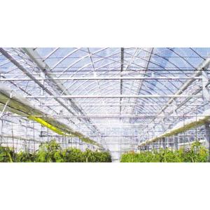 はじめ　POフィルム 三菱（MITSUBISHI） (カット販売) 農POフィルム ソルーチェ 厚み0.1mm