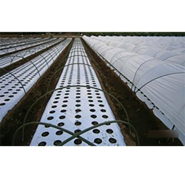 5本 ノックアウトマルチ 透明 KO-N 135cm×200m KOマルチ 農業 マルチ みかど化工...