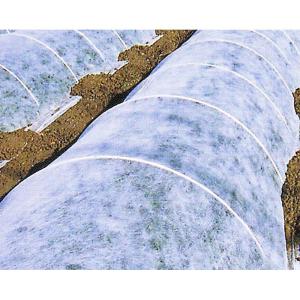 クラレ 寒冷紗 600mm x 180cm x 10m（2反） クラレ クレモナ寒冷紗 #610 黒 180cm X 100m 遮光率 約50% 農業資材