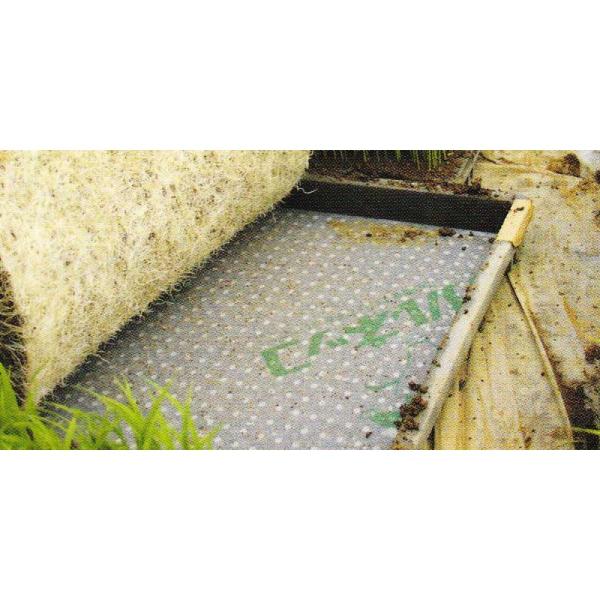 1000枚 育苗箱用 下敷シート カルネッコ SF 100枚×10袋 28×58cm 育苗資材 MK...