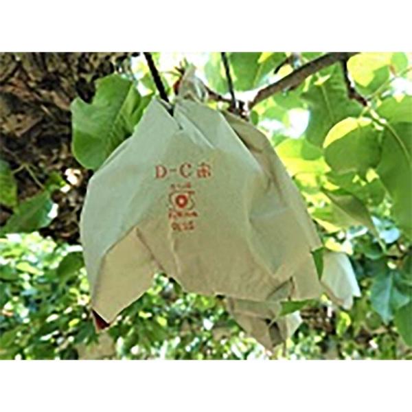 2500枚 果実袋 なし D-C 赤二重袋 12型 193×230mm 赤梨 アタゴ梨用 ナシ 梨 ...