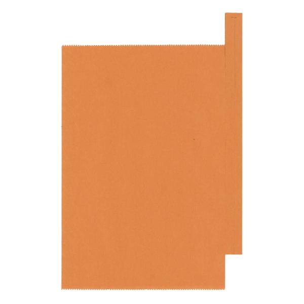 3000枚 びわ用 果実袋 オレンジ 特大 止入 556008 170×230mm ビワ 星野 代引...