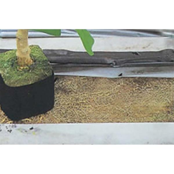 2本 ユニチカ ラブシート 防根用 #20701 FLV 厚さ0.10mm 幅100cm 長さ100...