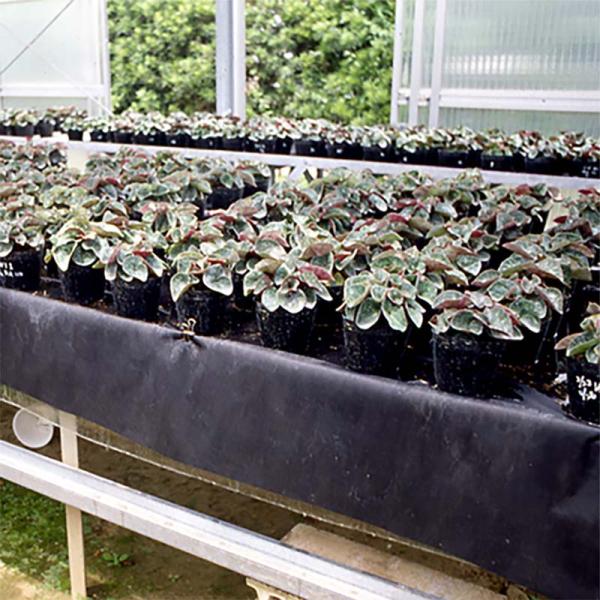 ユニチカ ラブマット U 底面潅水用 LN250GRO 厚さ2.20mm 幅100cm 長さ50m ...