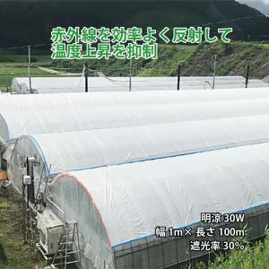 クレモナ寒冷紗 180cm×20m #300 (白色/遮光率約30%) : ミナトワークス