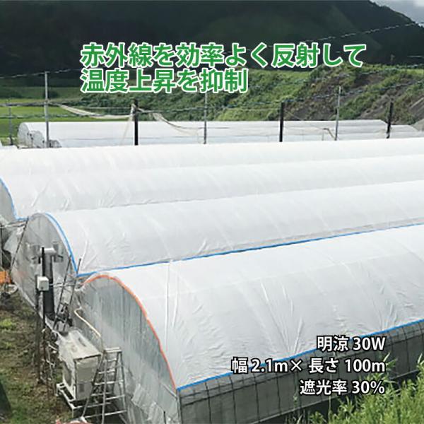 ハウス用シート ワリフ 明涼 30W 幅2.1m 長さ100m 遮光率30％ 農業用被覆材 ビニール...