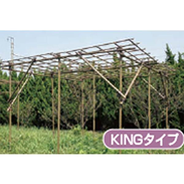 果樹棚 フルーツパーゴラ KINGタイプ 積水樹脂 支柱 家庭菜園 栽培 果物 ぶどう ヘチマ 藤 ...