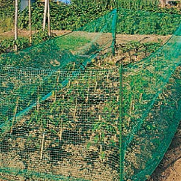 のら猫よけネットセット 25m 積水樹脂 25セット 犬猫よけ 支柱 ネット 家庭菜園 栽培 防獣 ...