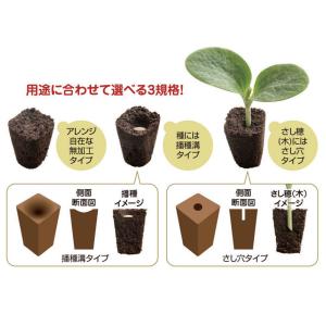 プラグ用土 コカピー 72穴 播種溝 H160...の詳細画像1