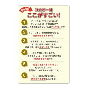プラグ用土 コカピー 72穴 播種溝 H160...の詳細画像2