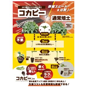 プラグ用土 コカピー 72穴 播種溝 H160...の詳細画像4
