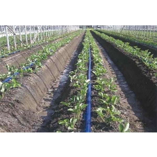 強力P.E 灌水チューブ 青 両面 レーザー 0.2mm×50mm×200m ピッチ30cm 孔径0...