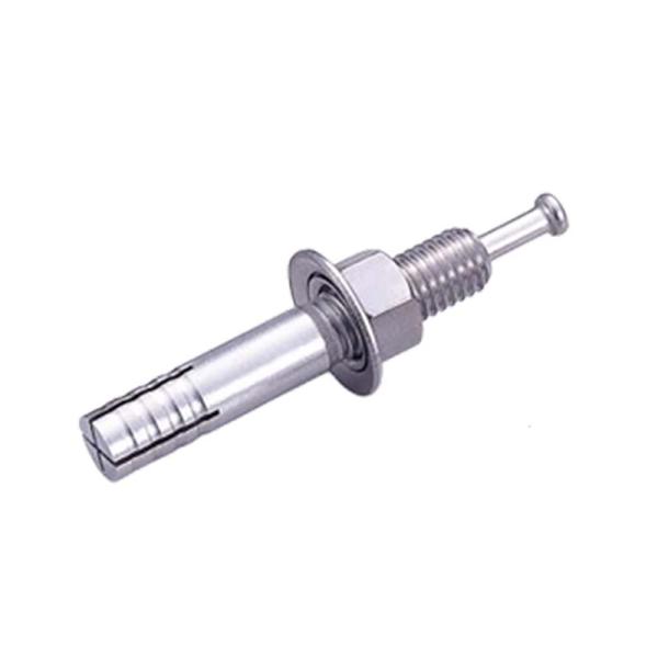 アンカー ルーティアンカー SCタイプ Mねじ ステンレス SC-1260 ユニカ 30本 芯棒打込...