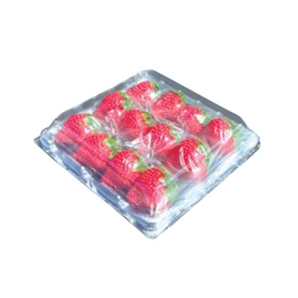 いちご容器 ゆりかーご Bタイプ 12玉 75枚 イチゴ容器 苺 トレー ケース フタ付き 大石産業...