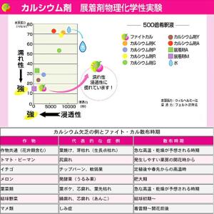 ファイト・カル 4L ファイトクローム 肥料 ...の詳細画像3