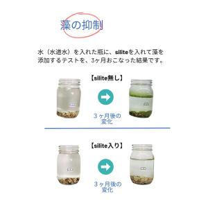 水質改善剤 silite シリット 1000L...の詳細画像4