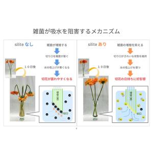 水質改善剤 silite シリット 1000L...の詳細画像5