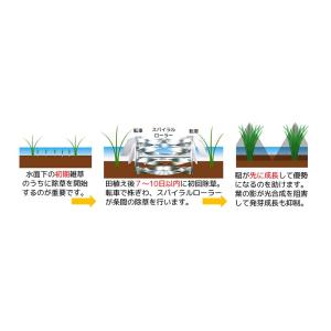 乗用田植機アタッチメント あめんぼ号 6条 ヒ...の詳細画像1