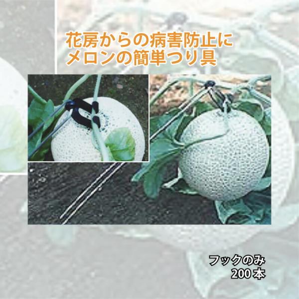 フックのみ メロン 簡単 吊具 つるべえ フック 200本 槍木産業 うつぎ産業 カ施 代引不可