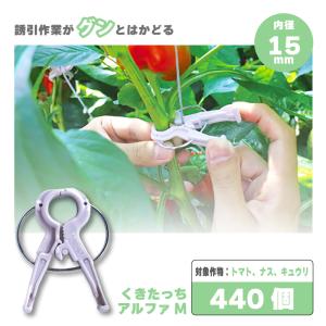 誘引クリップ　くっきーず太紐用　中古400個 誘引クリップ クキロック 1000個 CP-609-D-1-White タキゲン 内径 直径