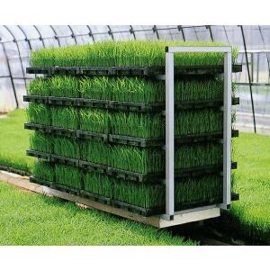イワタニ 端苗ホットネット（育苗用保温ネット） 幅65cm×長さ150m 