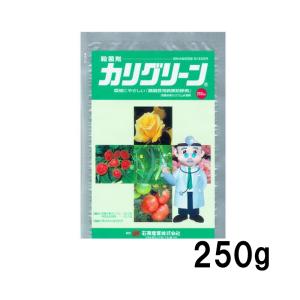 5個 カリグリーン 250g 殺菌剤 うどんこ病 農薬 イN 代引不可｜plusysbtob