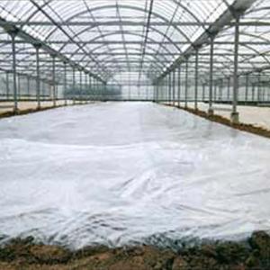 バリアースターV 厚さ0.05mm×幅600cm×100m巻 トーカン興産