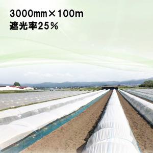 3000mm×100m 白 遮光率25％ ラウンドクール 遮光ネット 寒冷紗 JX ANCI タS 代引不可