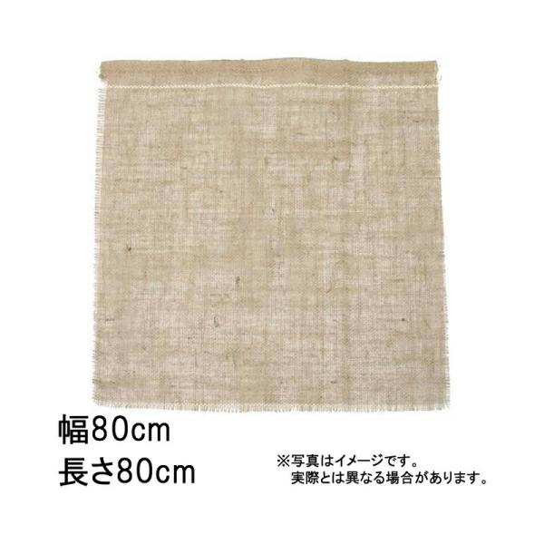 600枚 グリーンシート 四角 80 80cm×80cm 早S 代引不可