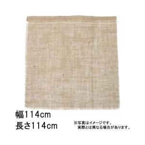 100枚 グリーンシート 四角 114 114cm × 114cm 早S 代引不可｜plusysbtob