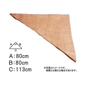 900枚 グリーンシート 三角 80 80cm × 80cm × 113cm 早S 代引不可｜plusysbtob