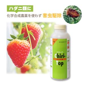 天敵製剤 チリトップ 2000頭 500ml チ...の商品画像