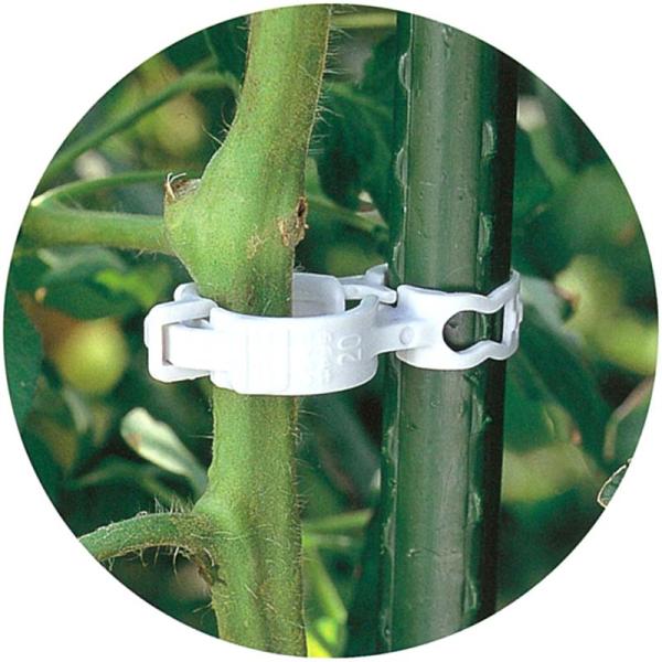 3600個 (300個×12袋) しちゅうキャッチ 20 緑 直径20mmイボ竹用 支柱 ワイヤー棚...